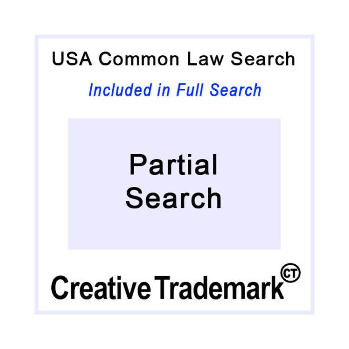 Common Law Trademark Search